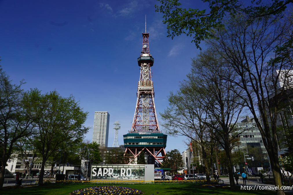 北海道観光_大通公園_西1,2丁目から見たテレビ塔